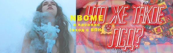 соль ск Богородск